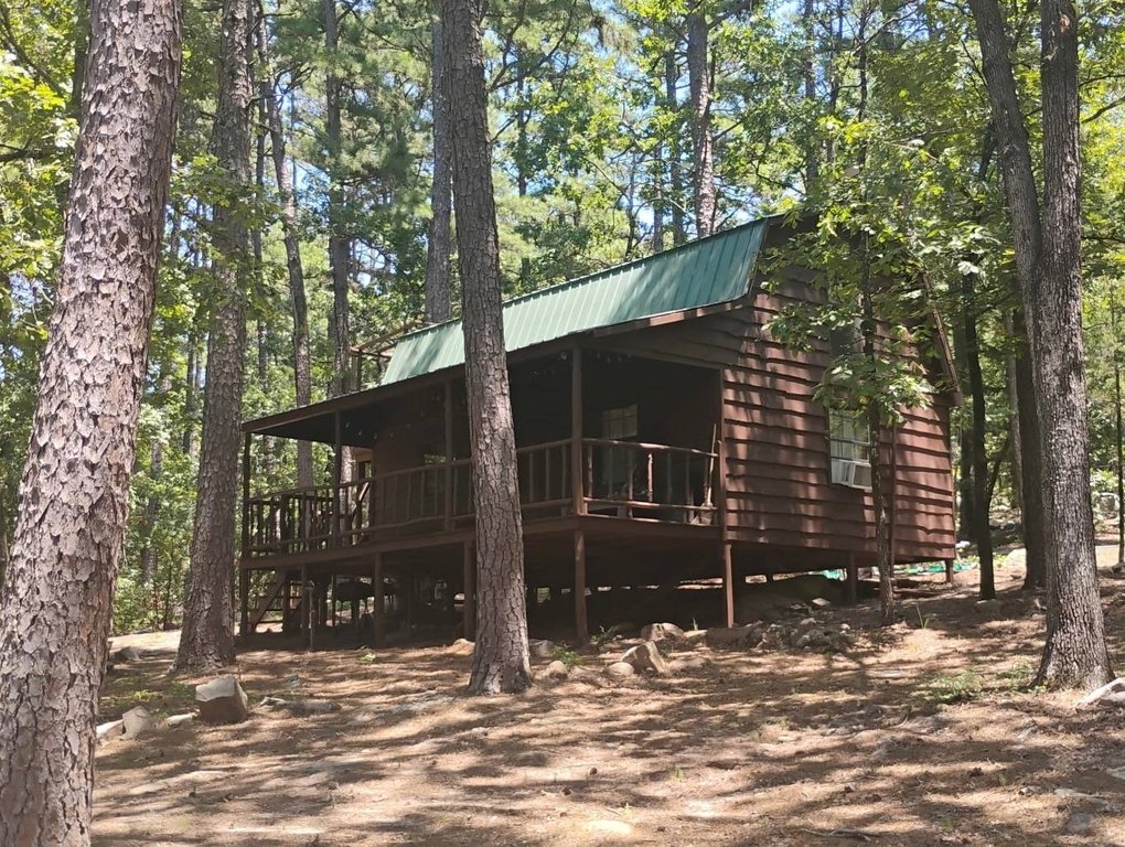 Picture 5