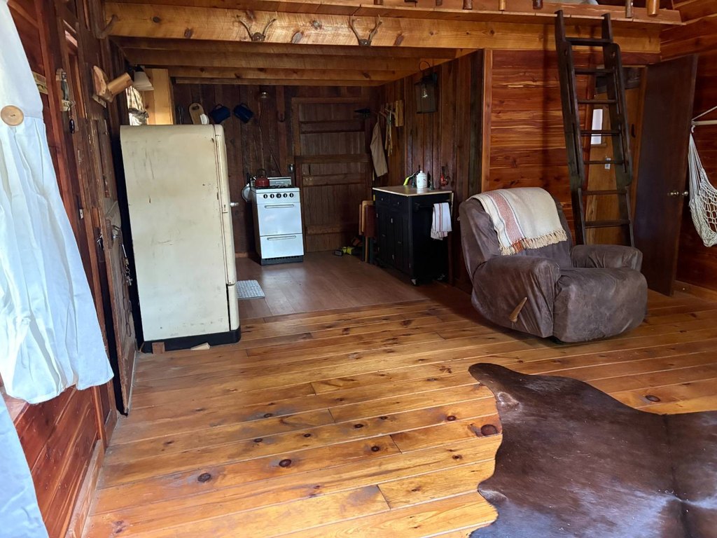 Picture 16