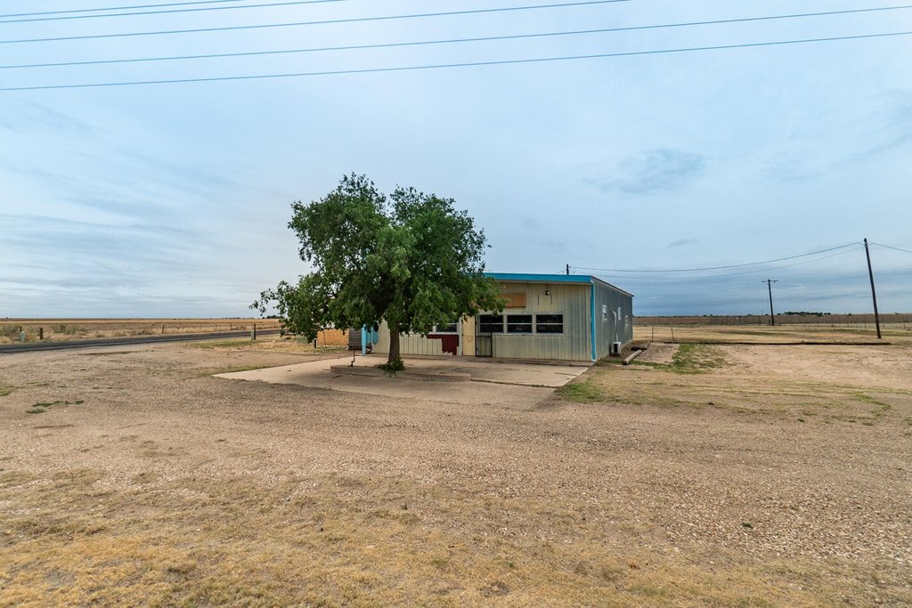 Picture 20
