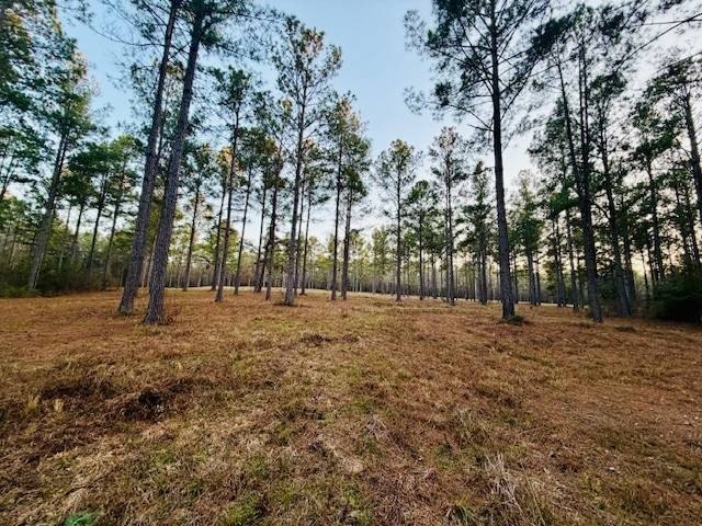 Camden, AL Vacant Land Homesite