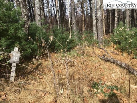 Wooded Lot in Gated Community