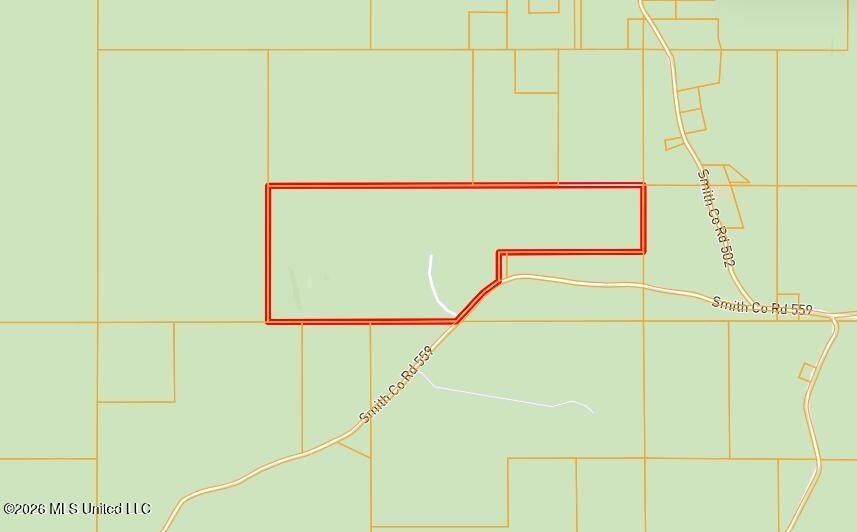 Picture 33