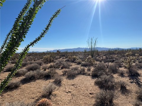 Land in Yucca, Arizona