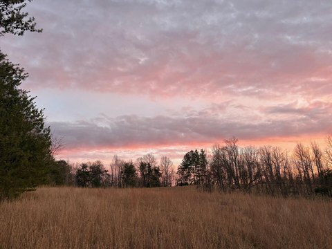 Moneta Land with Mountain Views