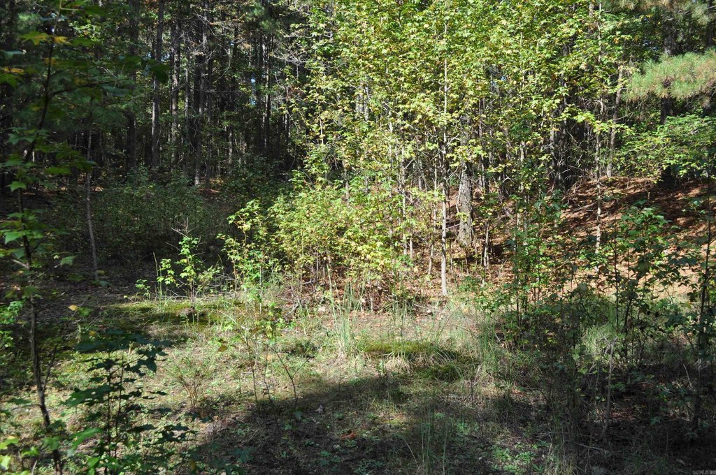 Picture 4