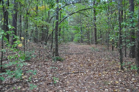 Vacant Land, Bee Branch, AR