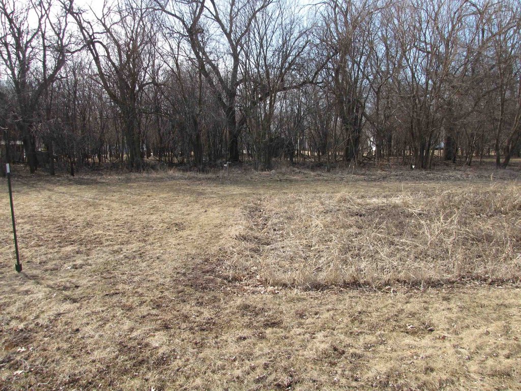Picture 6