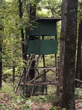 Land in Williford, Arkansas