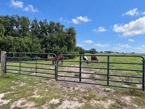 Fenced Agricultural Land