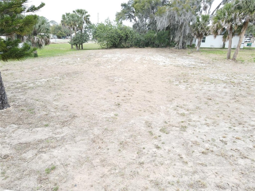 Picture 6