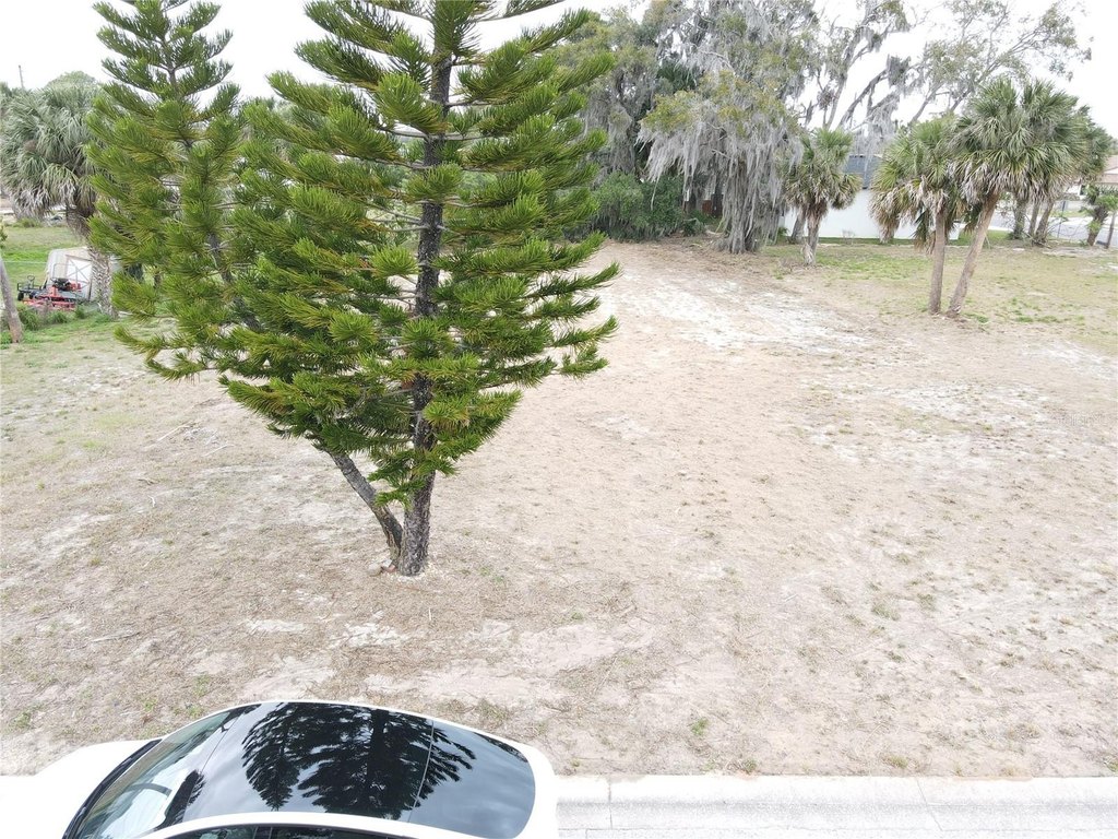 Picture 3