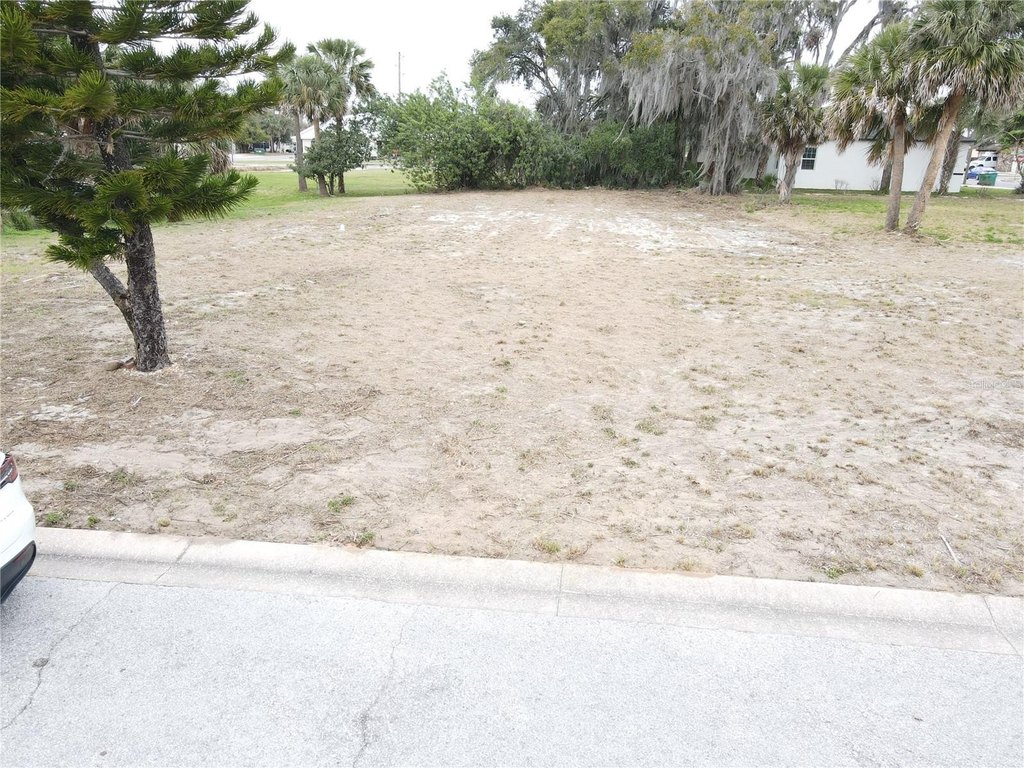 Picture 5