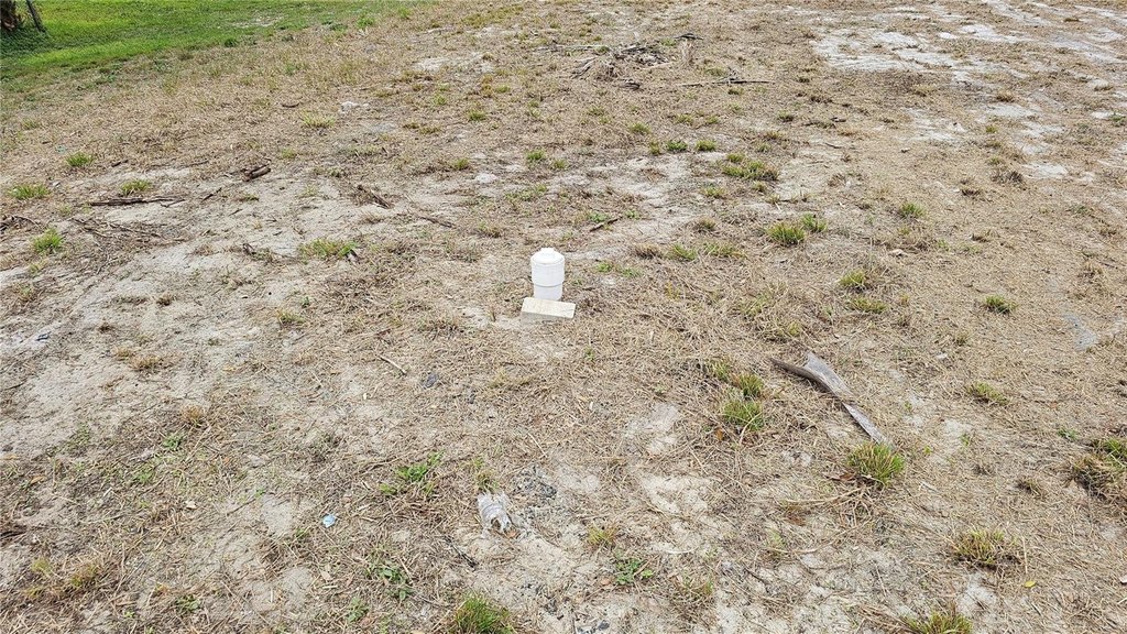 Picture 8