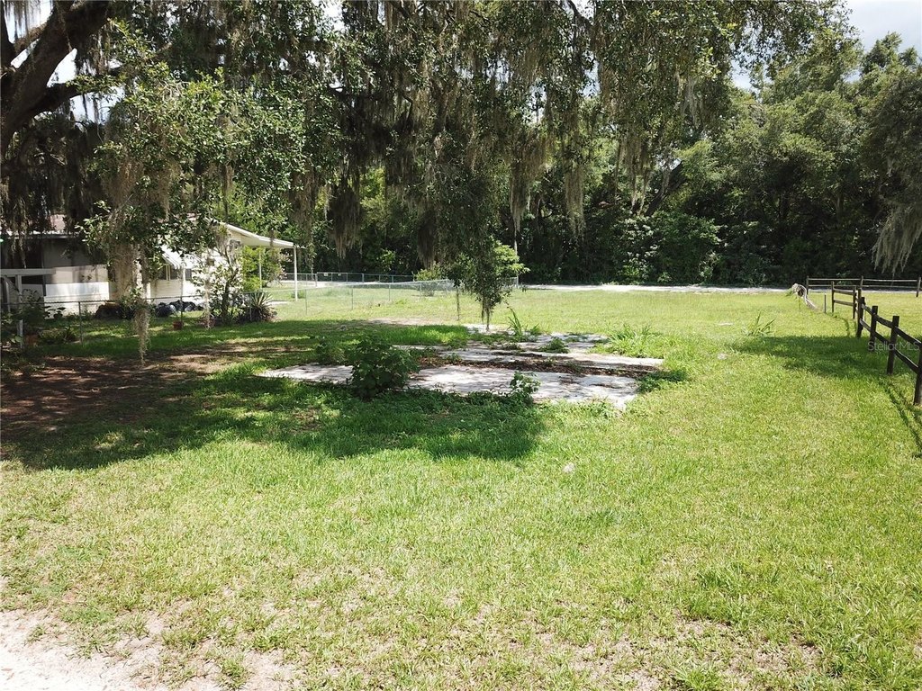 Picture 4