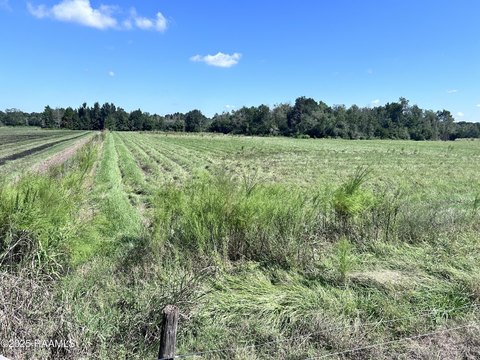 Expansive Land in Sunset, Louisiana