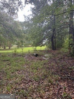 Wooded Lot in Mcdonough, GA