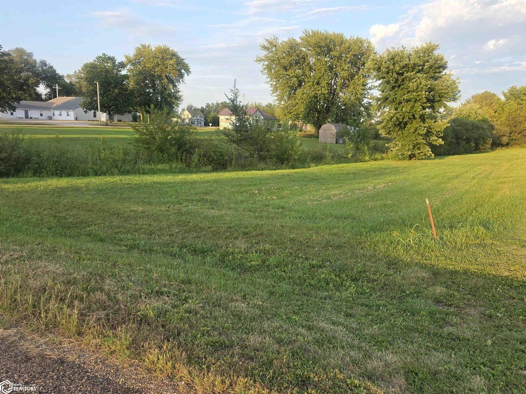 Picture 4