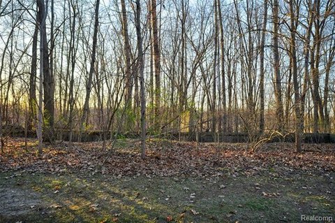 Residential Lot in Argentine Township