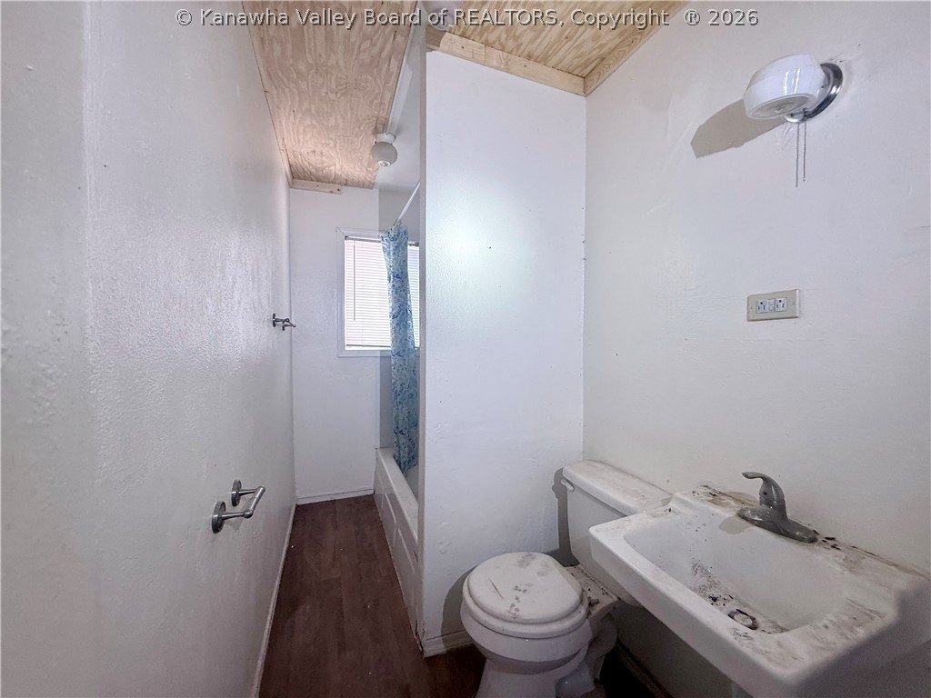 Picture 15
