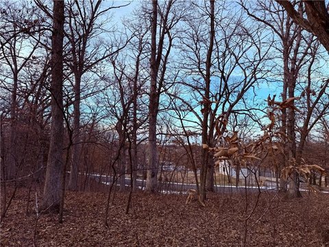 Lake Viking Treed Oasis