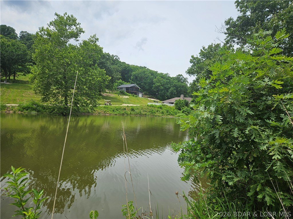Picture 8