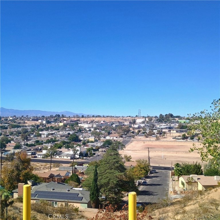 Picture 4