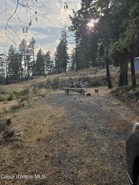 Picture 17
