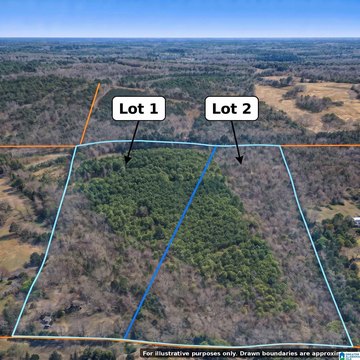 LAND/LOTS, BLOUNTSVILLE, AL