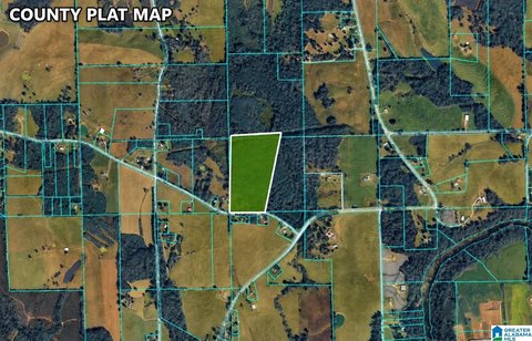 LAND/LOTS, BLOUNTSVILLE, AL