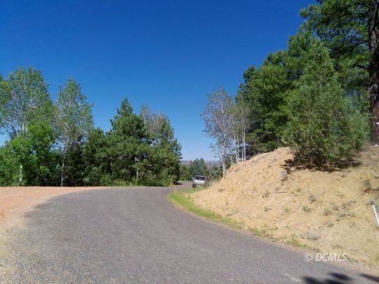 Picture 12