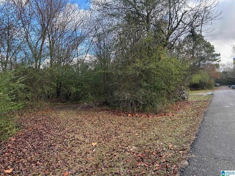 Multi-Use Highway-Frontage Land