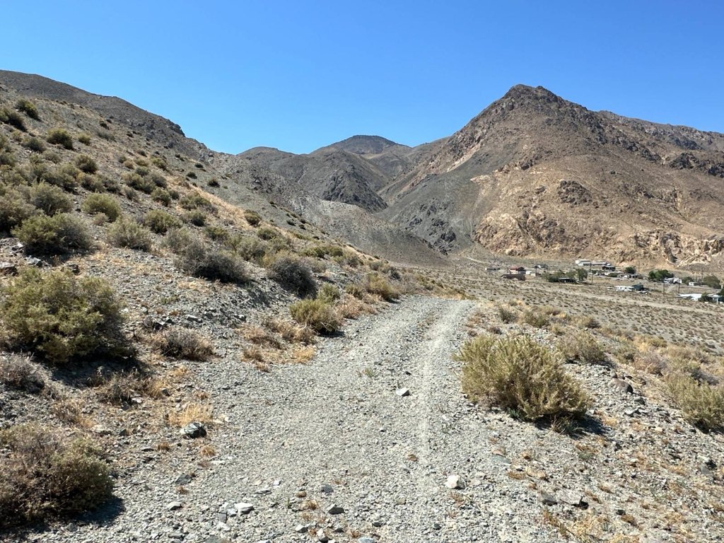 Picture 19