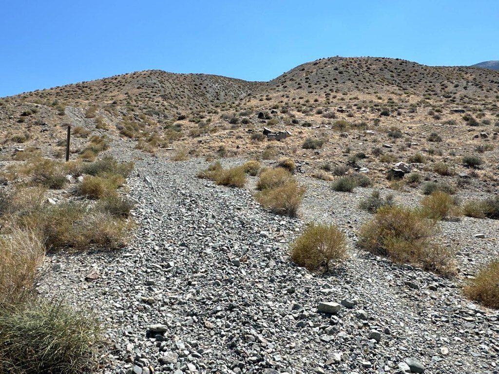 Picture 13