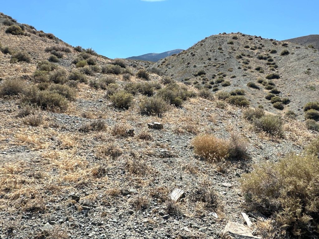 Picture 17