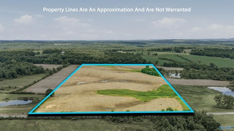30 Acres of Cleared Land