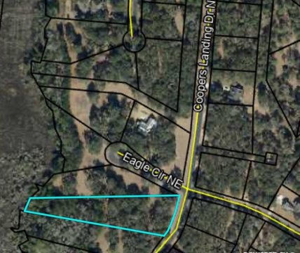 LAND - Townsend, GA