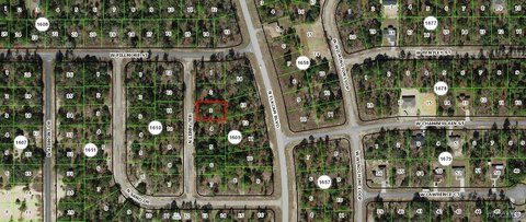 LAND - Dunnellon, FL