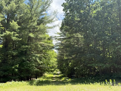 Pentwater Wooded Land For Sale