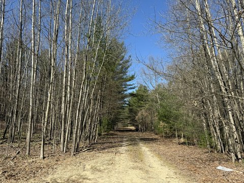 Pentwater Township Wooded Land