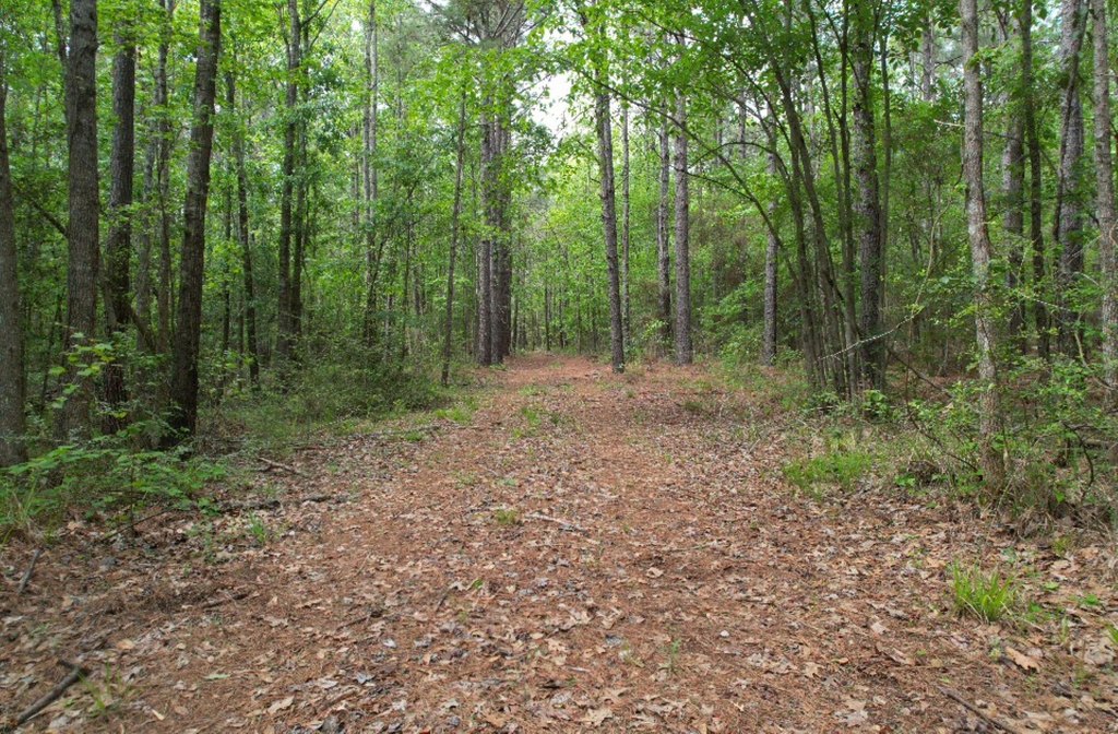 Picture 7