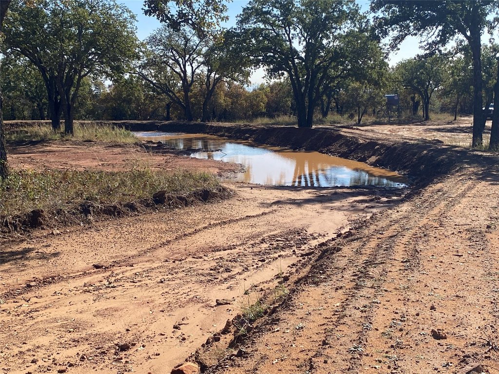 Picture 21