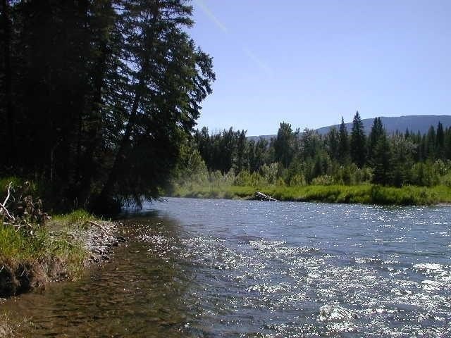 Swan Riverfront Land in Bigfork