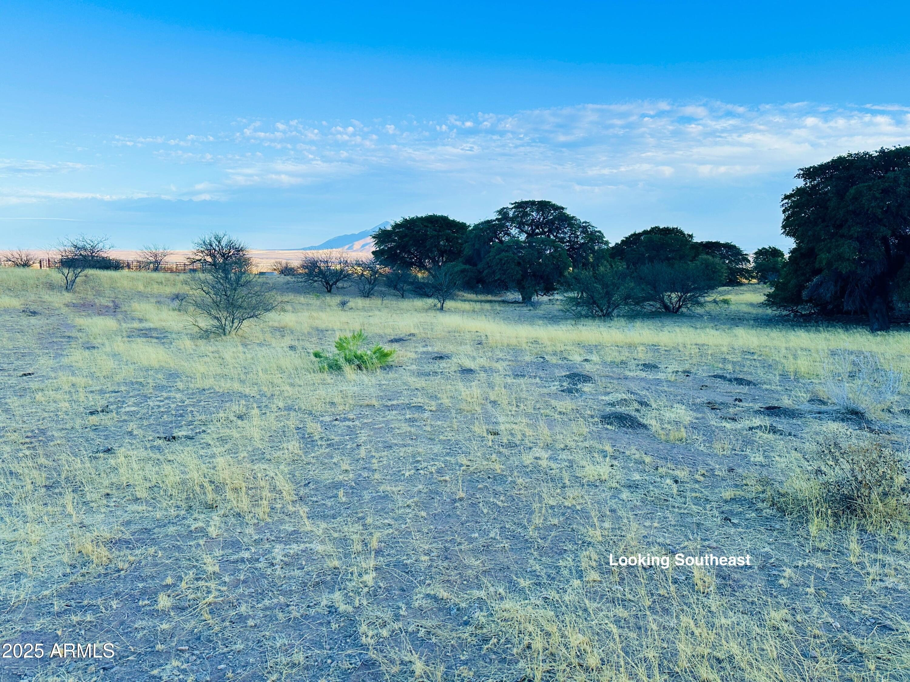 Hereford Land with Mountain Views