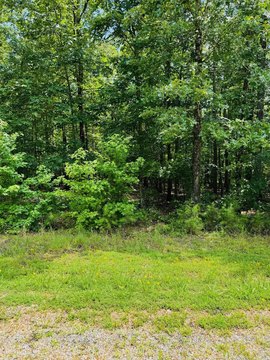 LAND - Heber Springs, AR