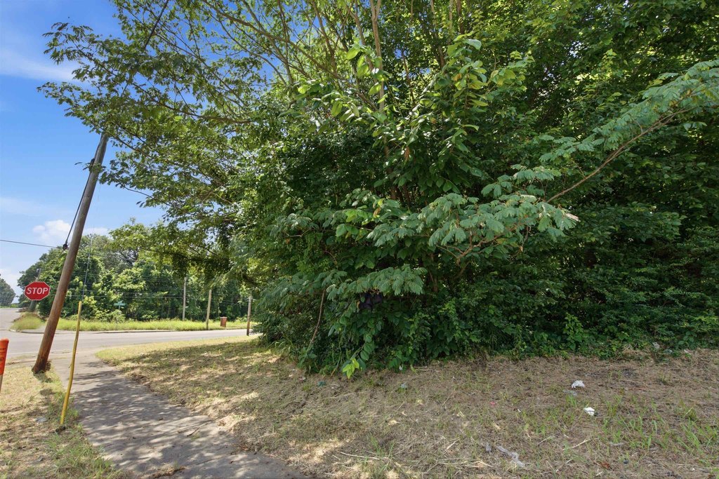 Picture 15