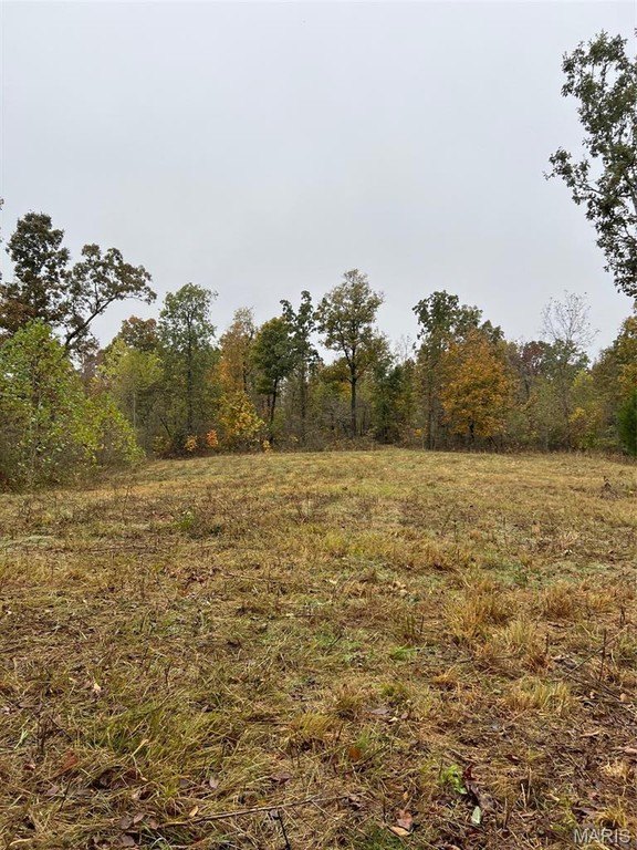 Picture 13