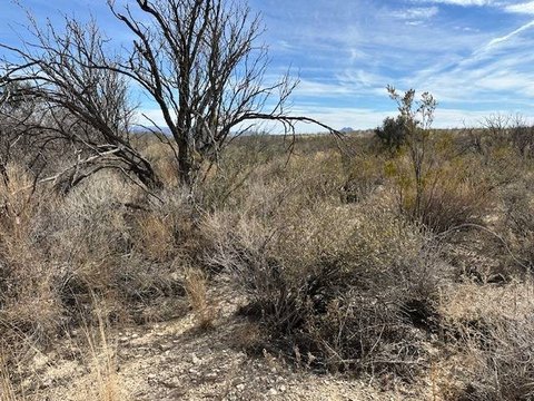 Terlingua Ranch Vacant Land