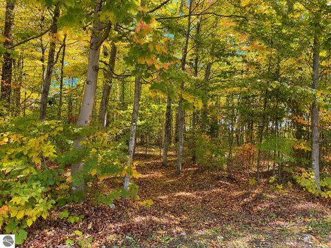 Vacant Lot/Land, Mackinac Island, MI