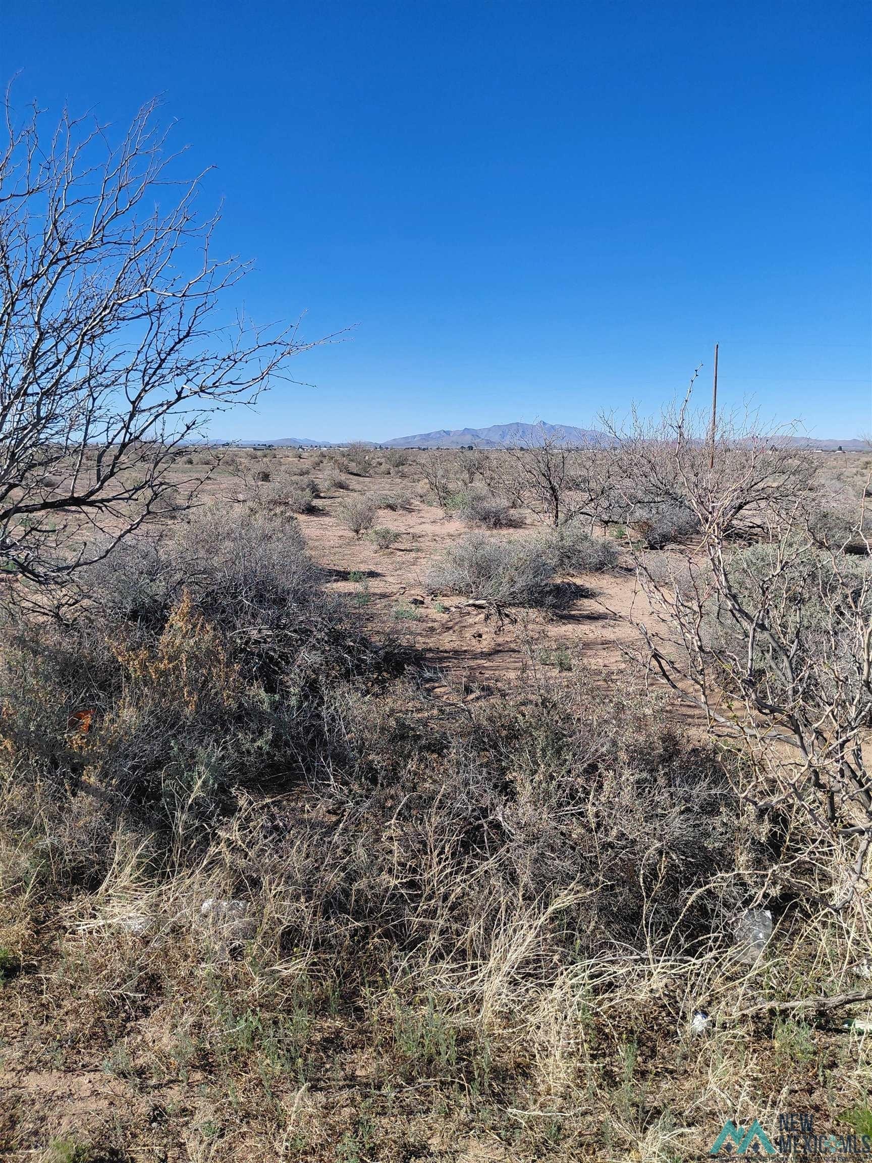 Land Near Deming, NM