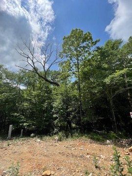 LAND - Broken Bow, OK